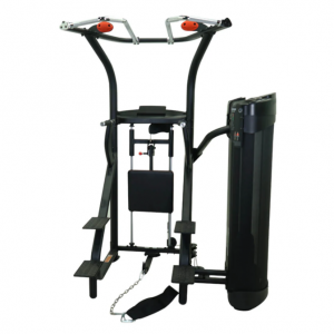 Inspire Dual Assisted Commercial Chin/Dip Machine