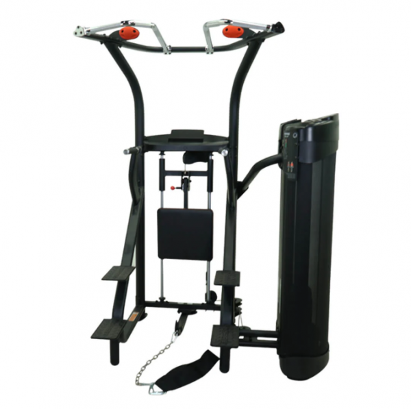 Inspire Dual Assisted Commercial Chin/Dip Machine